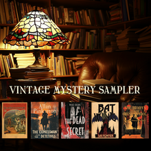 Load image into Gallery viewer, VINTAGE MYSTERY Sampler Bundle (F+S)